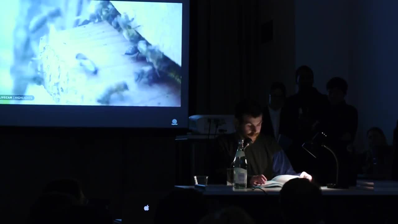 A person reads from a book illuminated by a lamp on a table in a dark room, with a video of bees projected in the background.