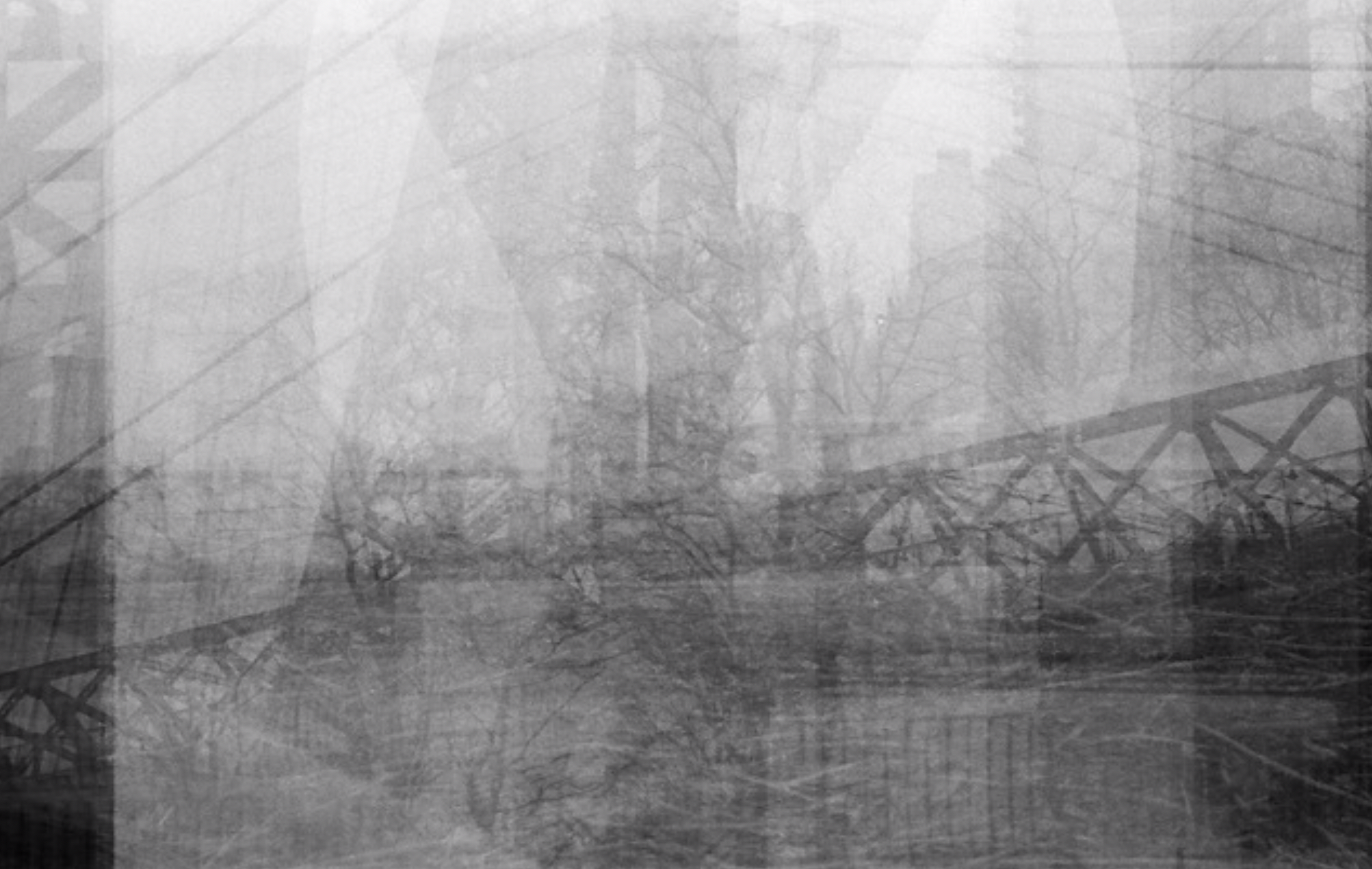 A black-and-white image depicting several translucent photos overlaid, some of natural plant life and others of industrial scenes, with power lines and bridge spokes
