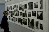 A person looks over an exhibition of photography arranged in a grid pattern on a wall
