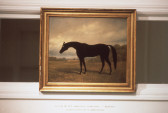 A painting of a horse in a gold frame hangs on a wall.