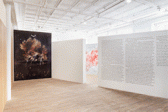 A gif of installation images from Sam Pulitzer's, A Colony for 