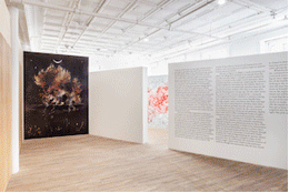 A gif of installation images from Sam Pulitzer's, A Colony for 