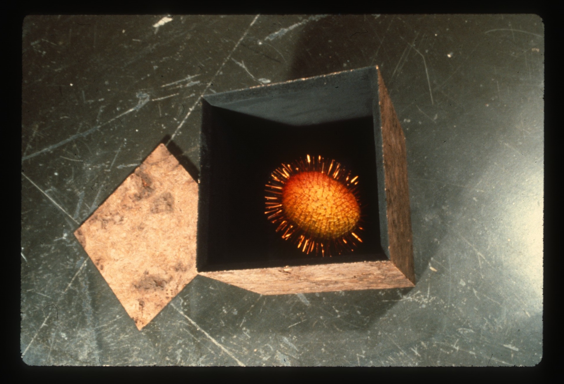 An round, orange object with protruding spikes is set inside a brown box. The box's lid is set on the black floor next to it.