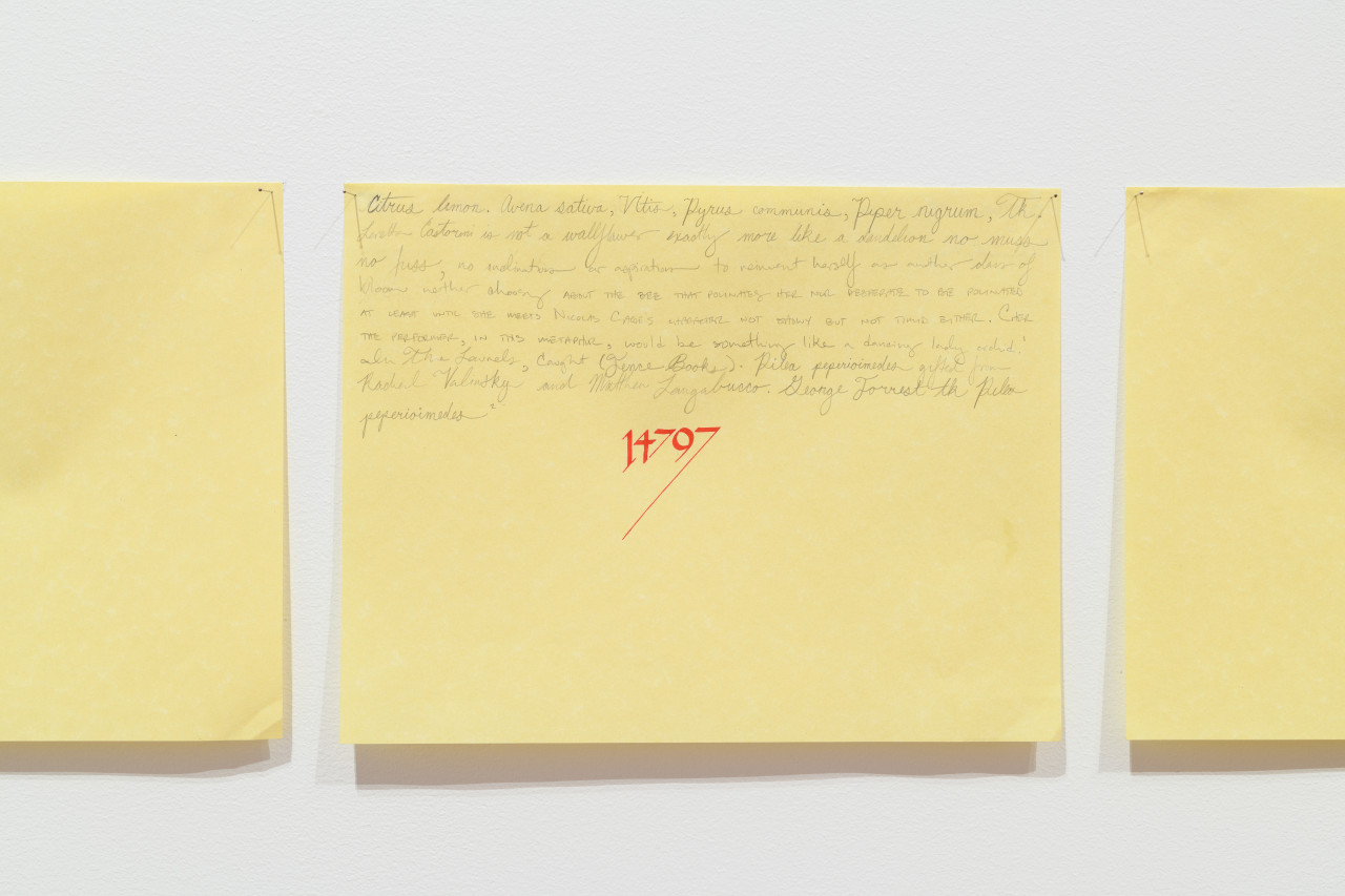 A photograph of three works on yellow paper hung on a white wall.