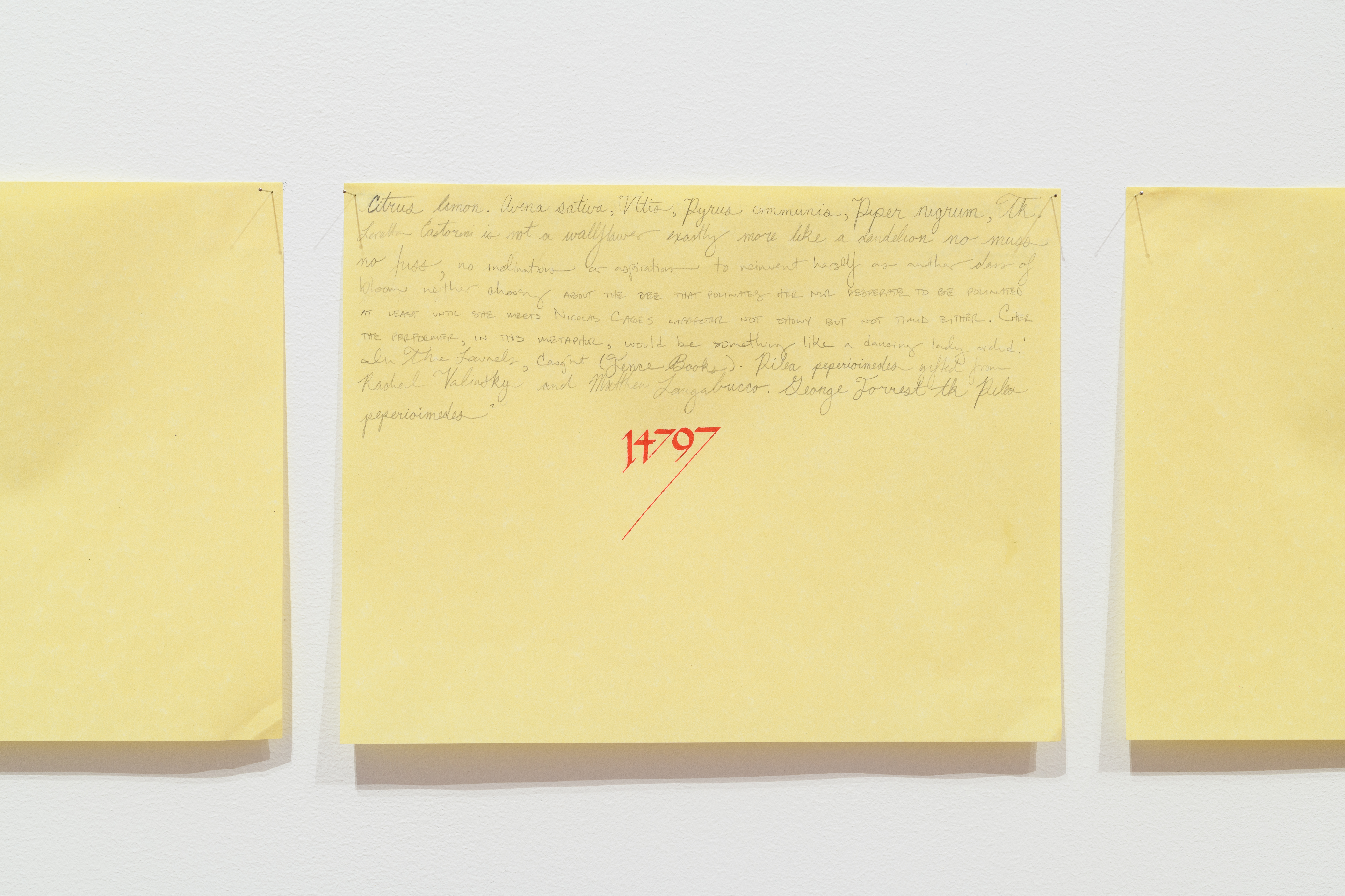 A photograph of three works on yellow paper hung on a white wall.