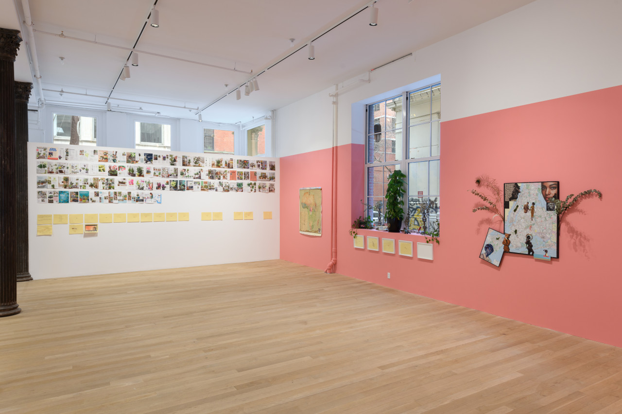 A photograph of a gallery space with works on paper hung on the far wall and plants, works on paper, and a collage mounted on the right wall, which is painted pink.