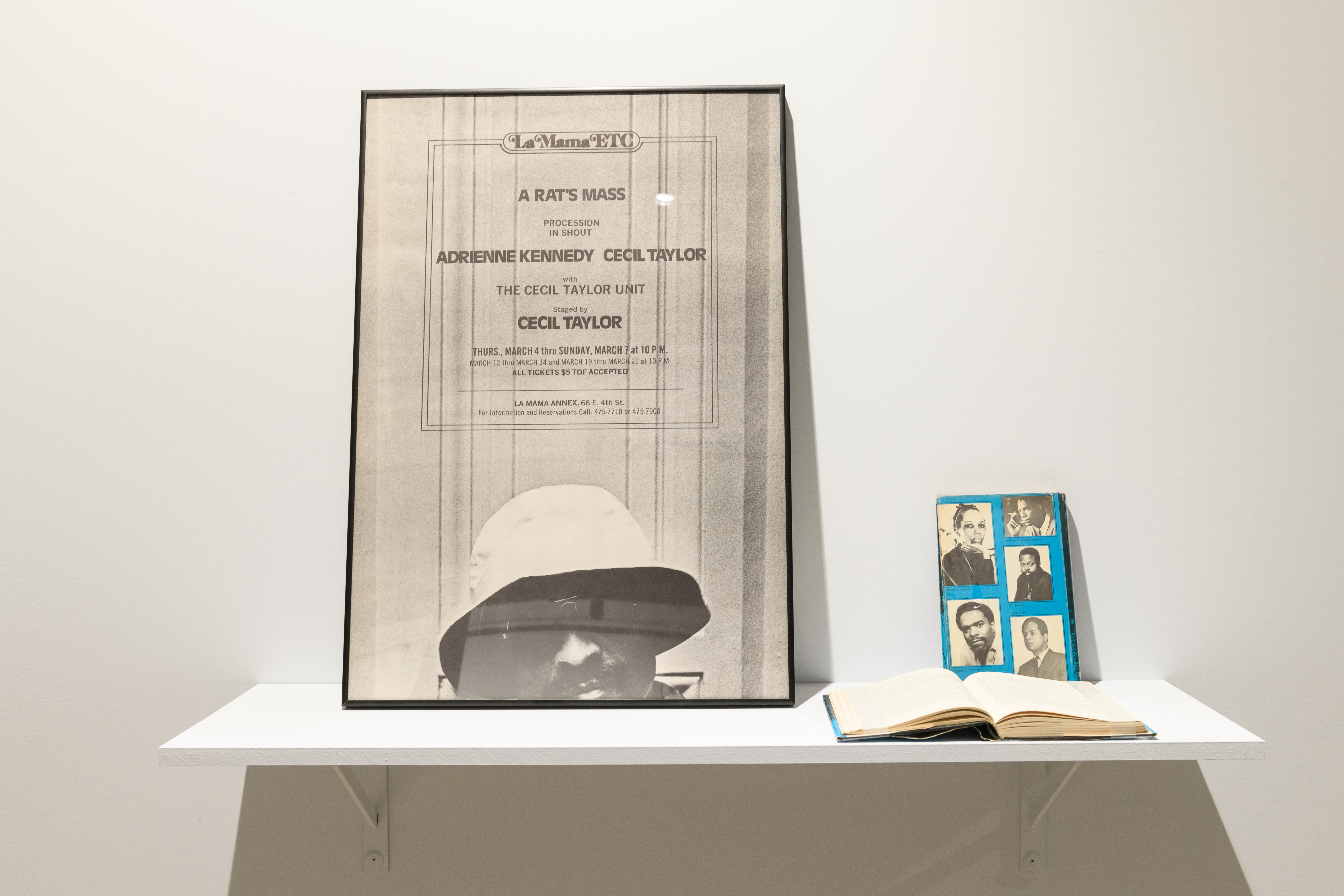 Displayed on shelf, a framed poster, an open book, and book showing multiple images on cover.