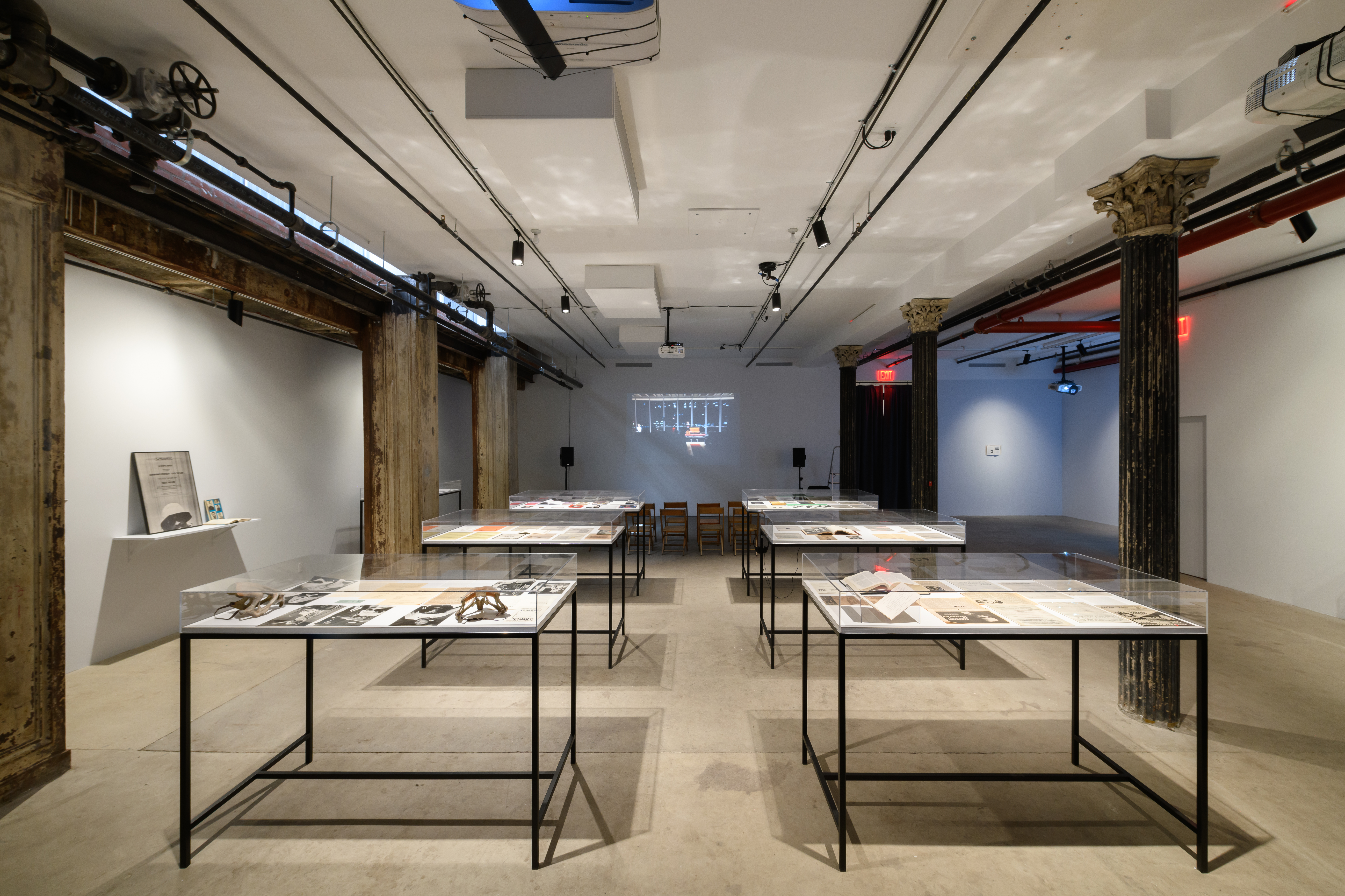 Six glass vitrines displaying books, photographs, and other paper ephemera are installed in the center of a gallery space. A film is being projected on the back wall of the exhibition space.