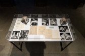A glass vitrine displaying a series of images, pages of text, and two large rat skulls.