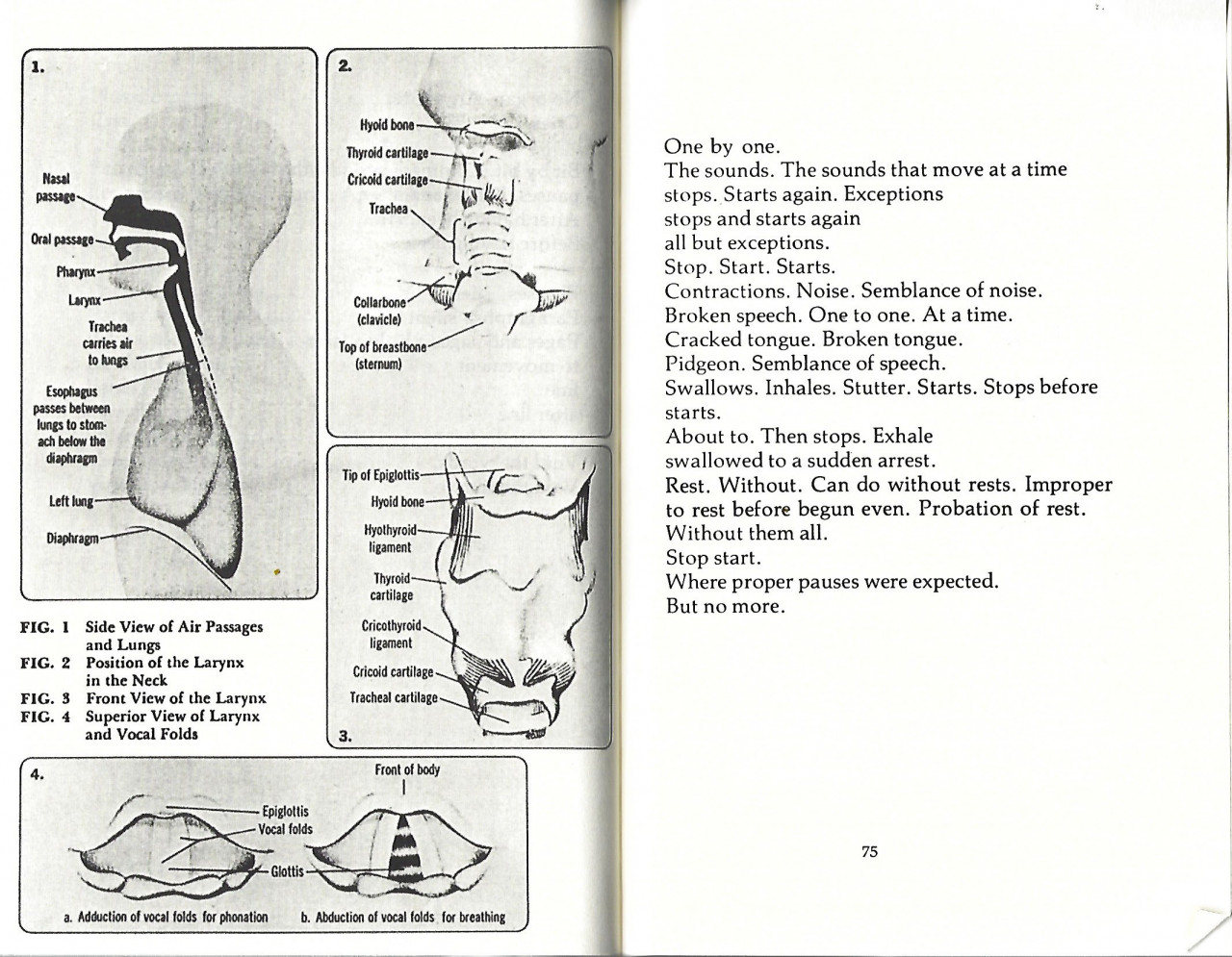 A two-page spread from the novel Dictée shows four diagrams of a human larynx and neck on the left-hand page and a page of writing from the novel on the right.