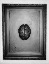 A black and white image of a blank frame on a white wall. At the center of the frame, a sculptural mold of a brain protrudes out from the canvas.