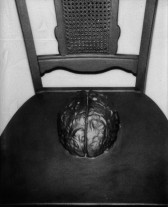 A close up, black and white image of the seat of an antique wooden chair. A mold of a human brain emerges from the center of the chair's cushion.