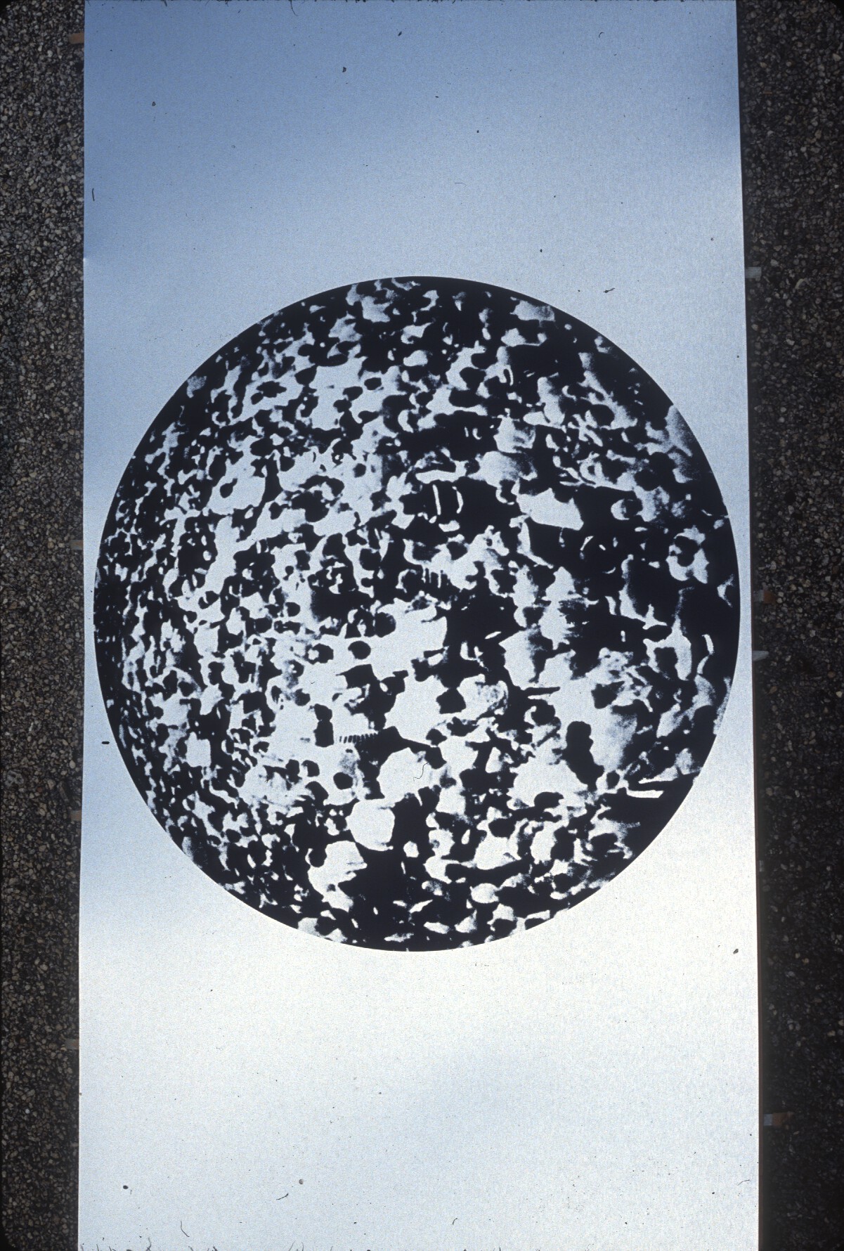 A circular shape with a textured fill on a blue background.