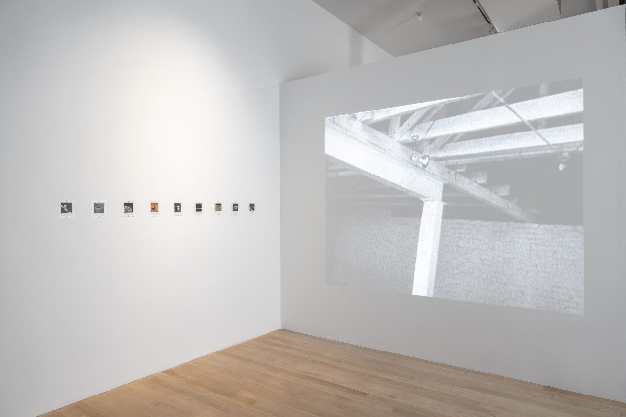 A color image of the corner of a gallery space. On the left wall there is a line of nine polaroid photographs, evenly spaced and hung about five feet from the light wooden floor. The right wall features a frame from a video being played from a projector. The black and white film frame shows the interior of an industrial space, the exposed ceiling rafters and brick wall.