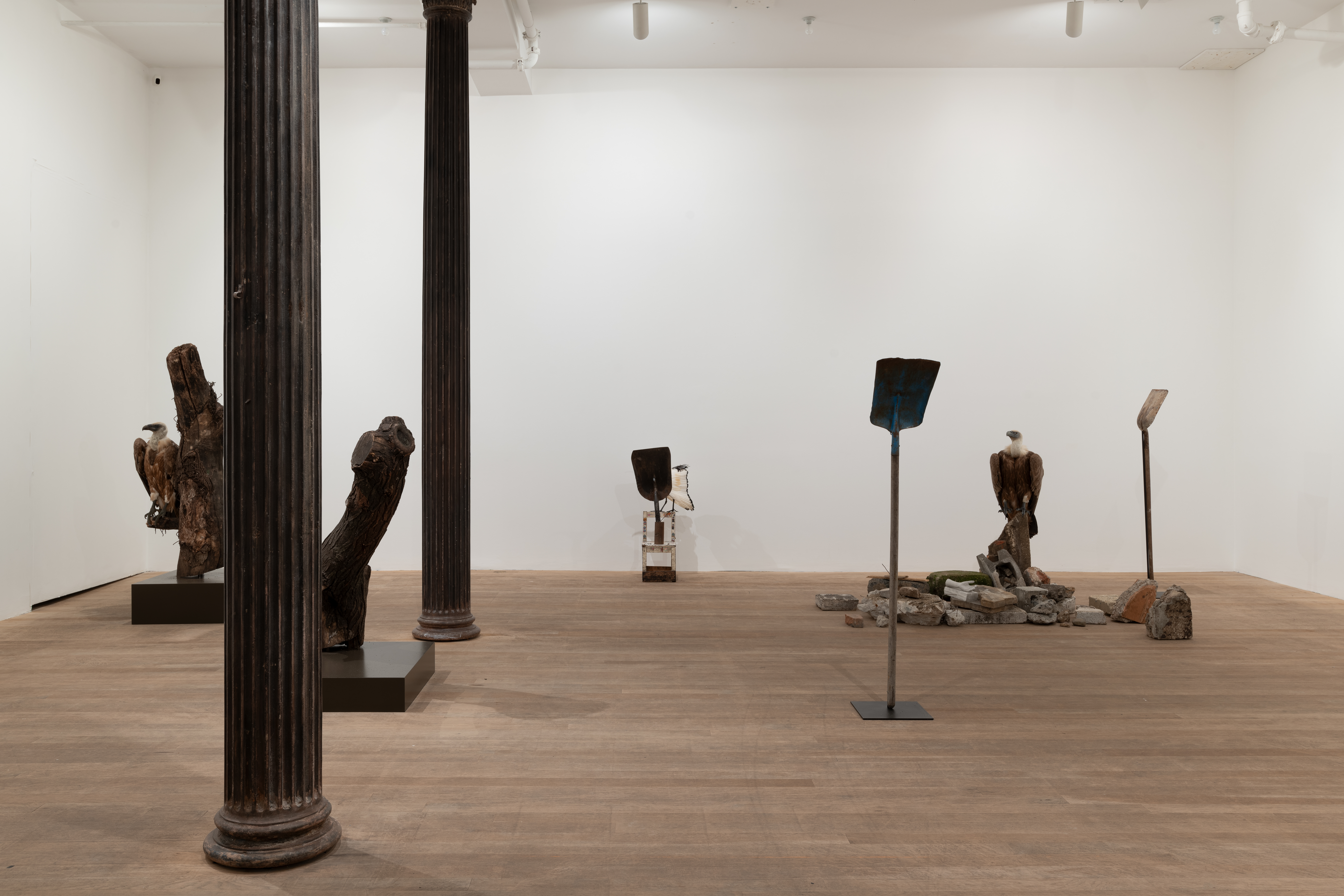 A color image of a gallery space. On the left, two tree log sculptures rest on pedestals. To the right, two shovels standing upright on pedestals flank a taxidermied griffon vulture that sits amongst a pile of concrete rubble. In the center, the top of a shovel afixed to a small childs chair is placed up against the back wall.
