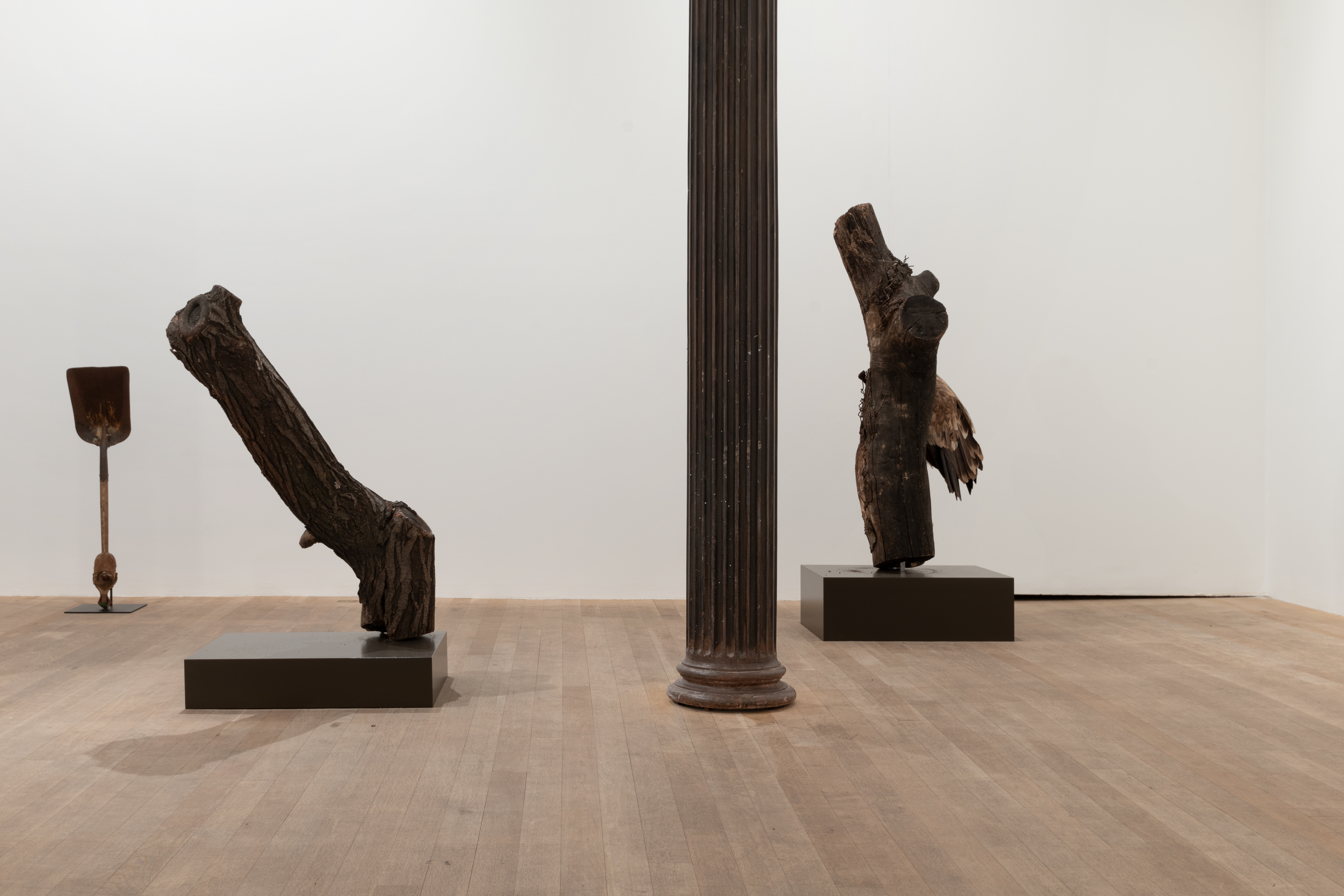 A color image of a gallery space. From left to right: a shovel with an iron claw at the base, a tree log on a pedestal and another tree log on pedestal, with a griffon vulture perched on the branch.