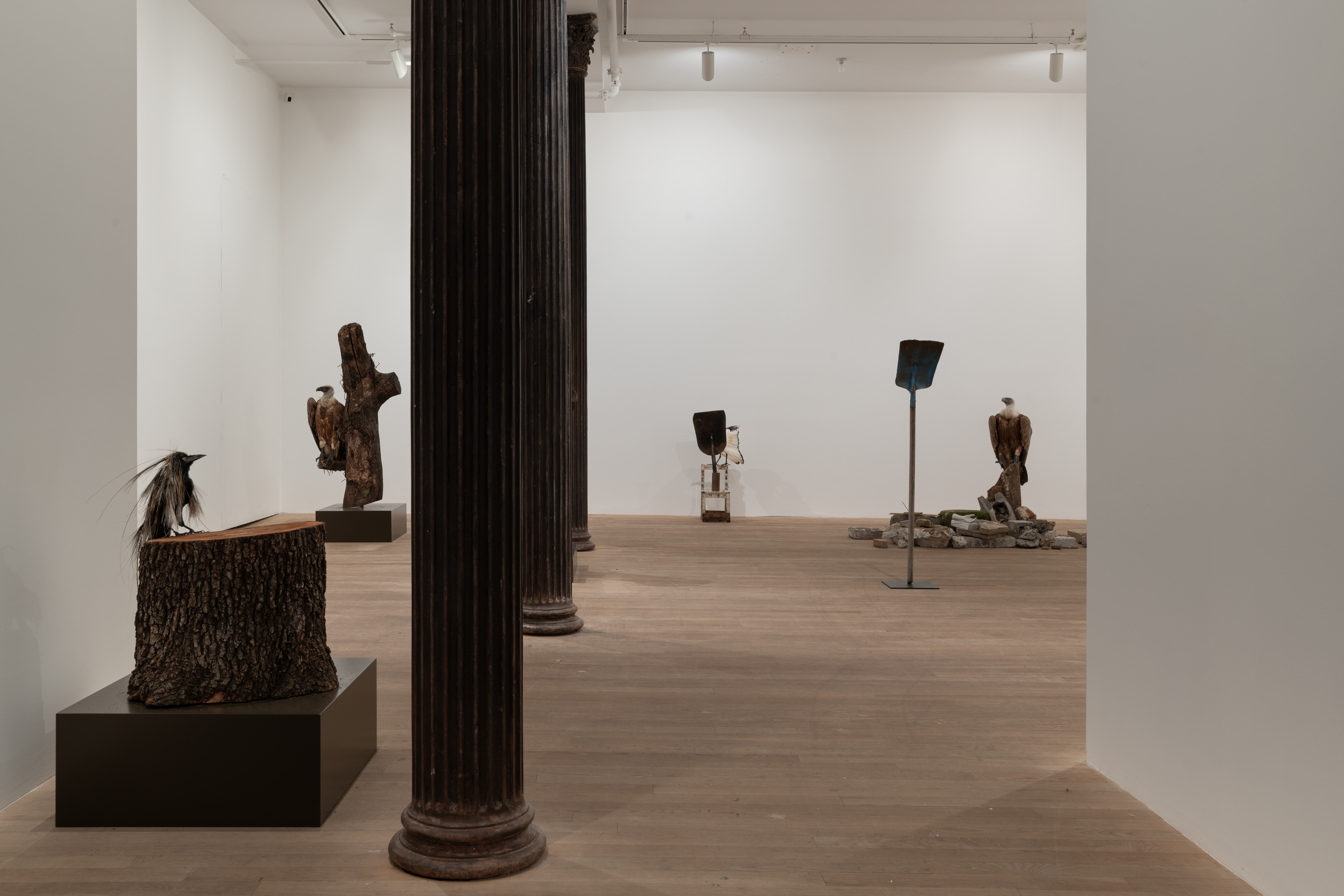 Color image of a gallery space. To the left, a tree trunk sits on the pedestal. On top of the tree trunk there is a taxidermied crow covered in porcupine quills. Behind the tree trunk, there are more sculptures featuring taxidermied birds, tree logs, and shovels.