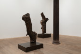 A color image of two tree logs, placed on brown pedestals. The pedestal in the back features a taxidermied griffon vulture.
