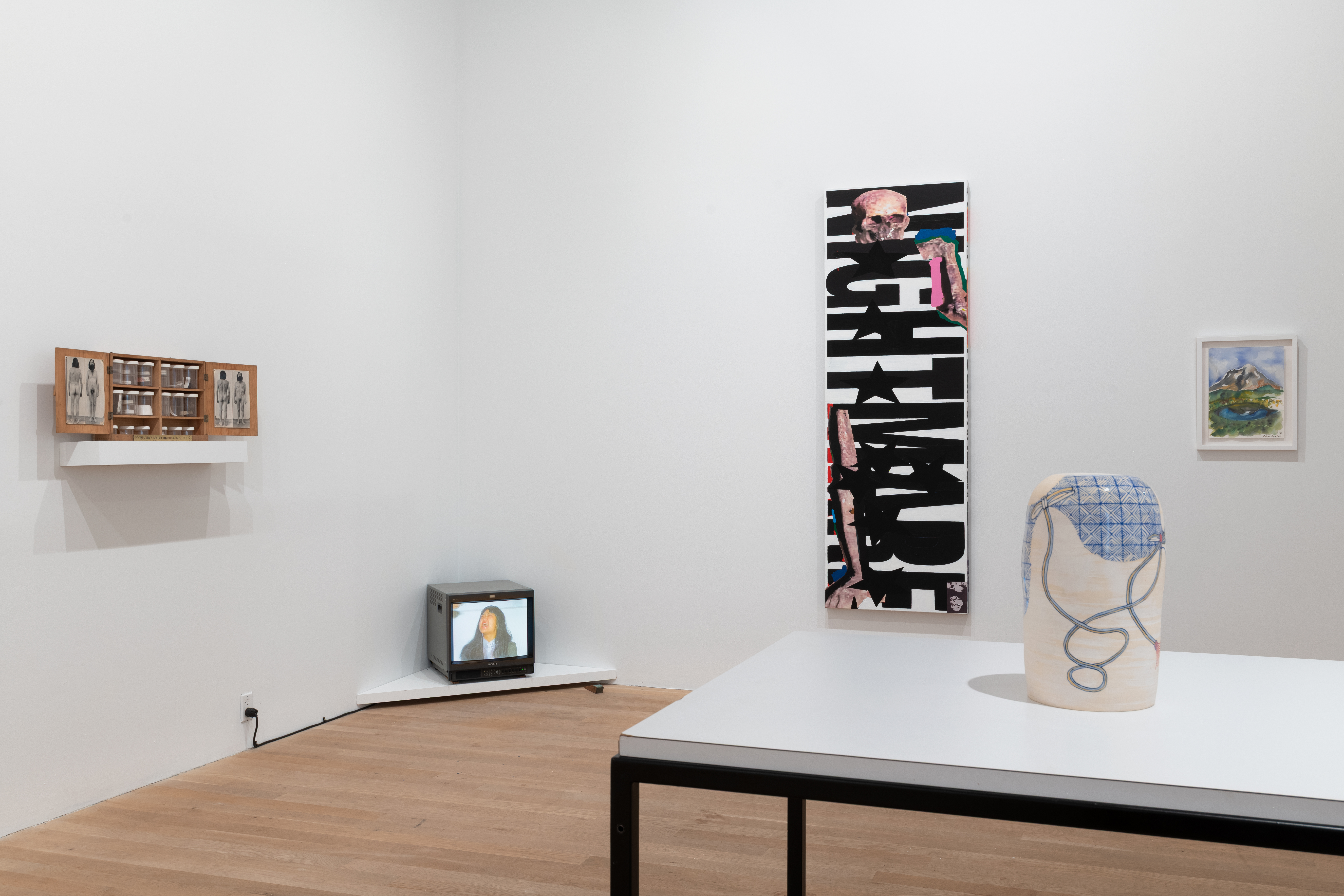 On the left wall of the gallery space sits of shelf containing a display case of photographs and jars. In the corner of the walls sits a televion on the floor playing a video. On the right wall is a painting vertically reading 