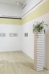 A view of a column like display planter and multiple images on a white gallery wall. Above the images is a yellow band that wraps around to the adjacent wall with text that reads 