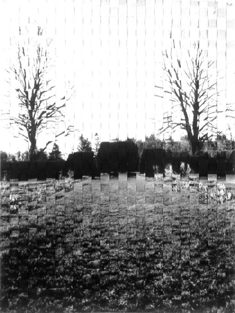 A black and white photograph of a field with trees in the background has been cut into strips and woven back together.