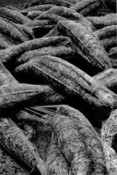 Long, thin bundles of hay are arranged one over the other, mimicking the woven pattern of a textile.