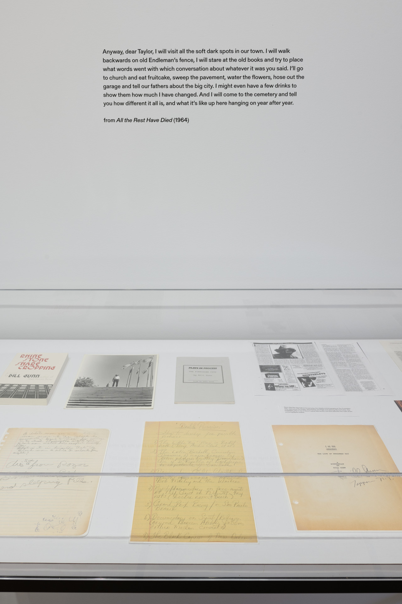 A close up image of a glass display case holding, images, books, and handwritten text. On the wall above is a paragraph of text that reads, " Anyway, dear Taylor, I will visit all the soft and dark spots in our town. I will walk backwards on old Endleman