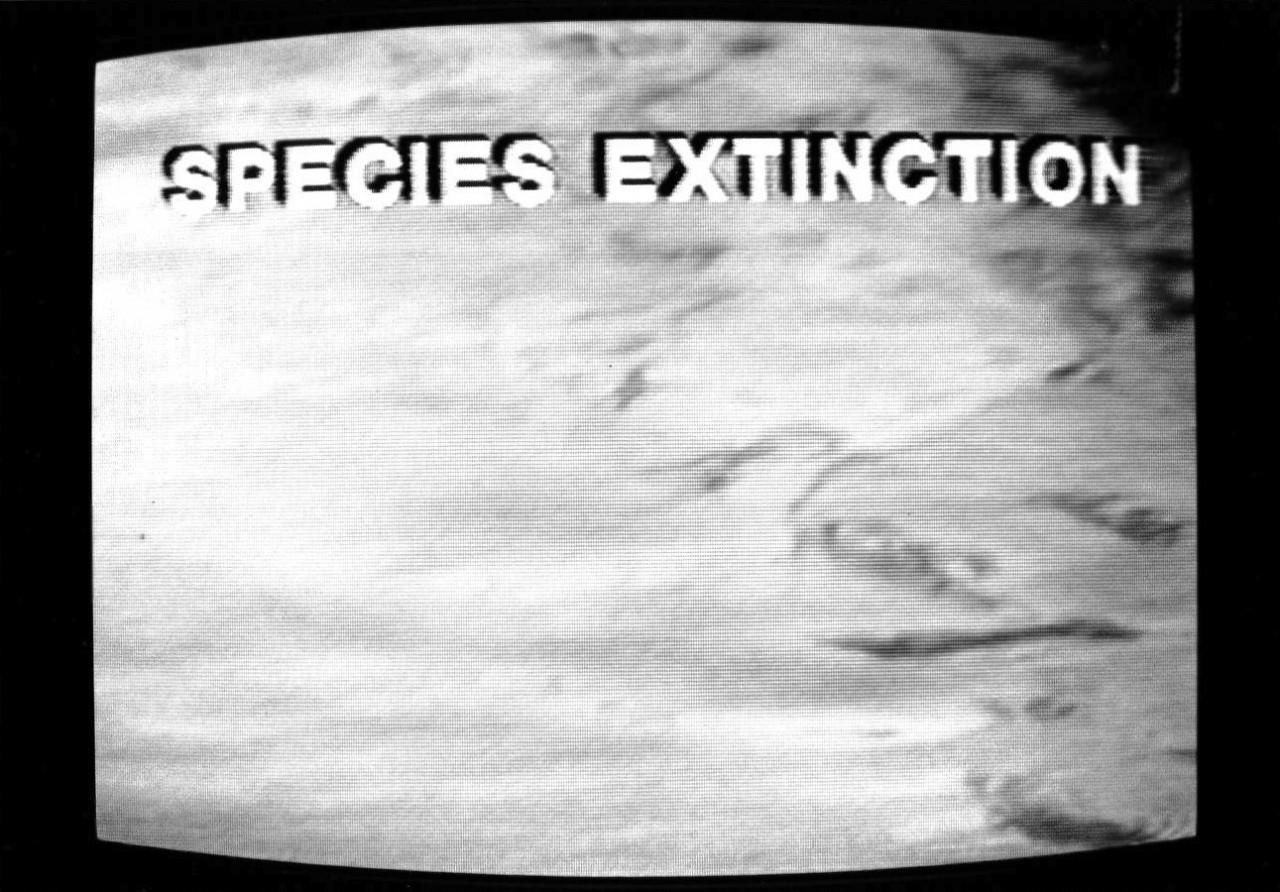 White block text reads SPECIES EXTINCTION on a background of grey and white swirls.