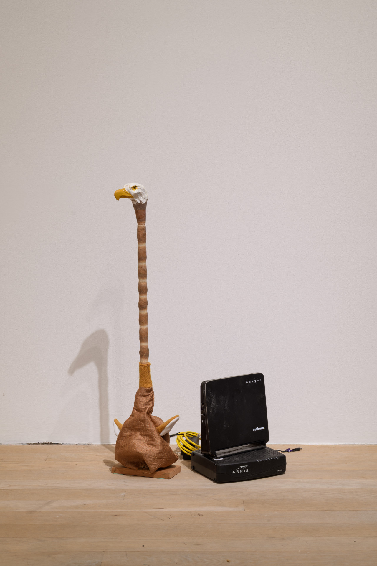 An eagle head sits atop an elongated wooden neck. Two black boxes resembling a modem sit beside.