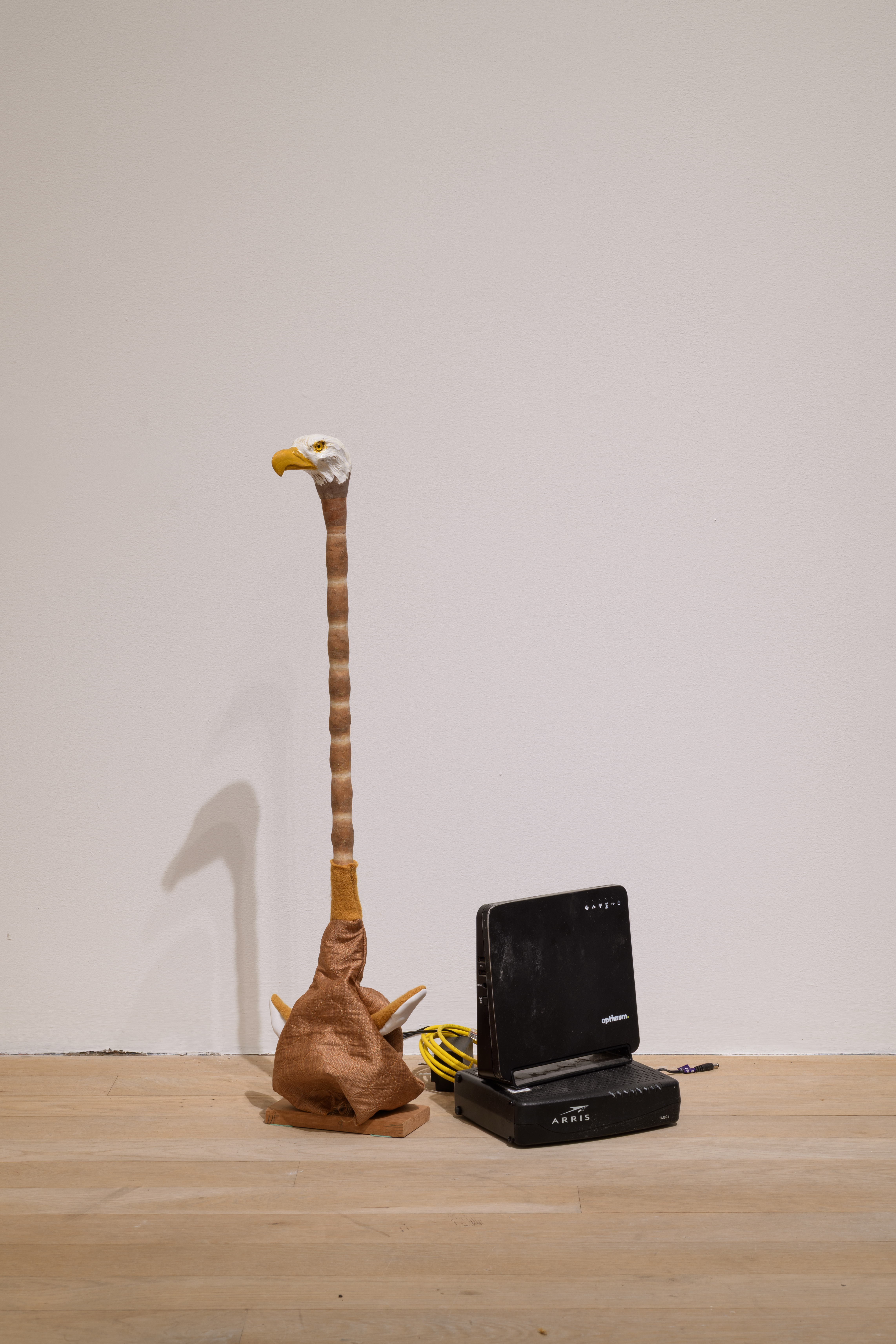 An eagle head sits atop an elongated wooden neck. Two black boxes resembling a modem sit beside. 