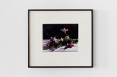 A framed photograph displayed on a white wall. The photograph shows multicolored flowers laying on a white surface with a black background.