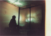 A figure sits in front of a  two screens next to each other with impressionistic forest imagery. The light from the projection spills out onto the walls and ceiling while the figure and the floor is shrouded in darkness.
