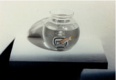 A small goldfish is visible swimming inside a round-shaped bowl with water in it with a silver watch behind it. The bowl is sitting on a pedestal on a white wall.