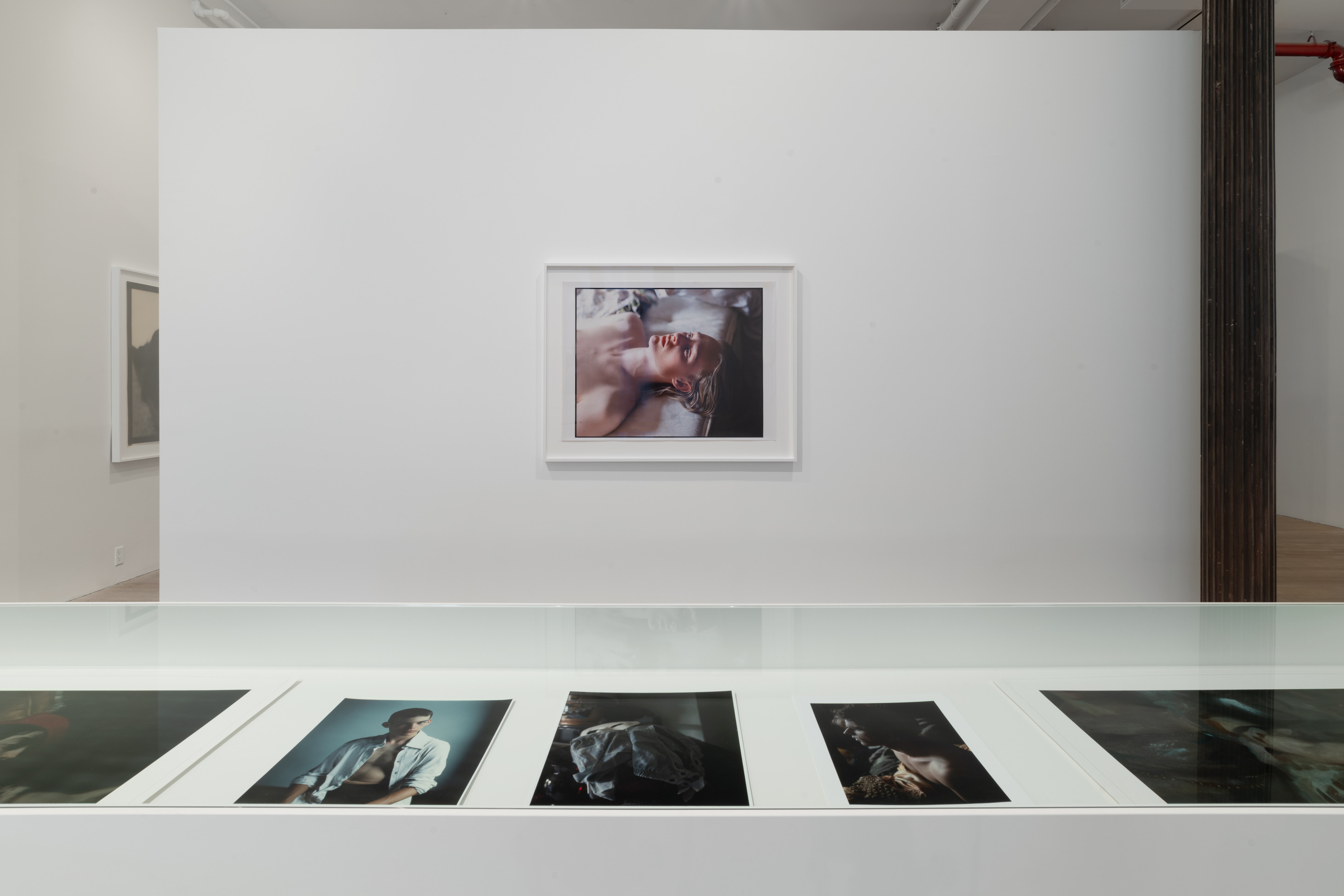 A glass-topped vitrine reveals five smaller color photographs. Directly behind and center, a horizontal portrait hangs on a gallery wall. The color portrait of a young man lying down yet facing upright is printed in a pink and silver tone. 