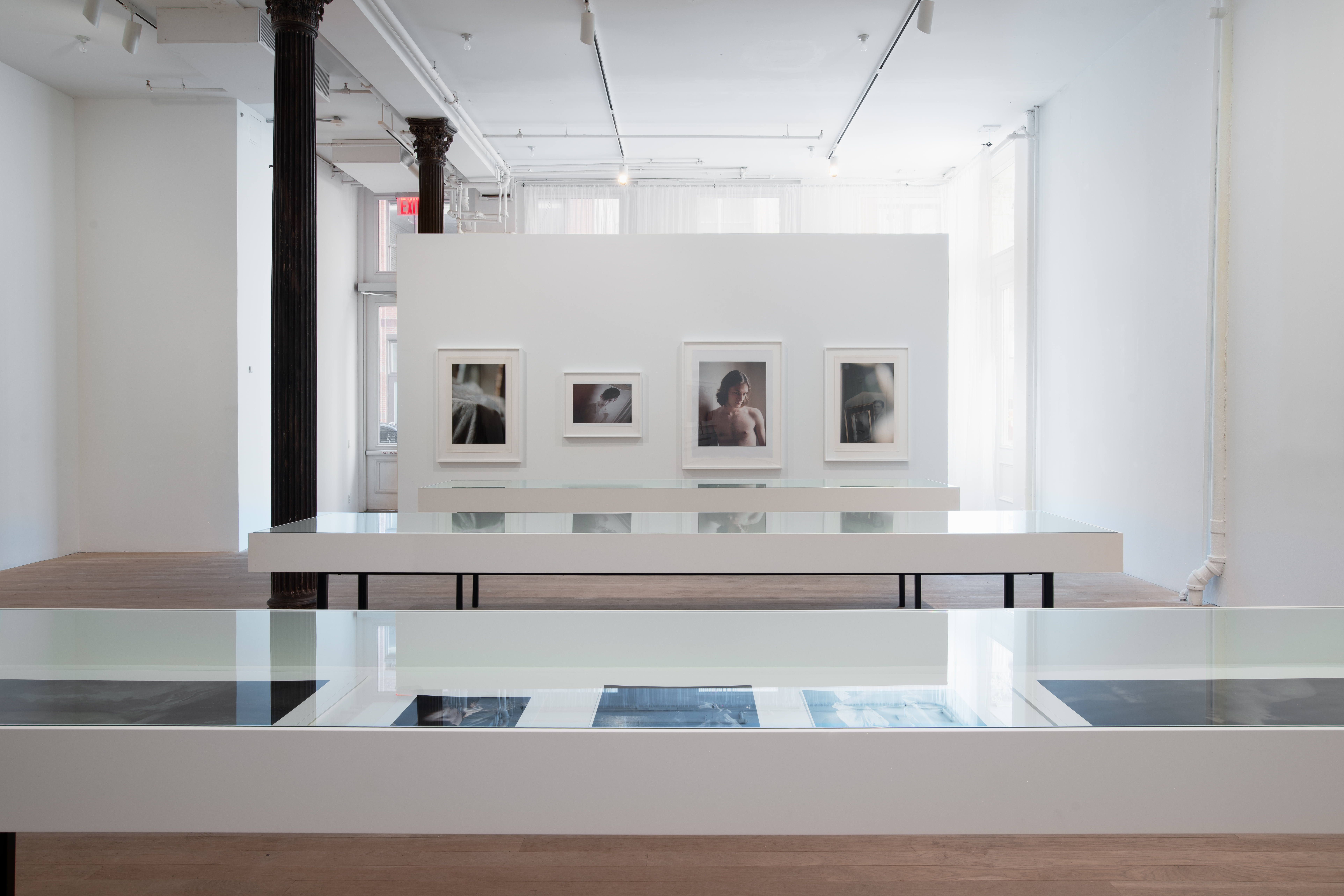 In a bright gallery, three vitrines recead into the space. They are met by a white wall bearing four large color photographs. 