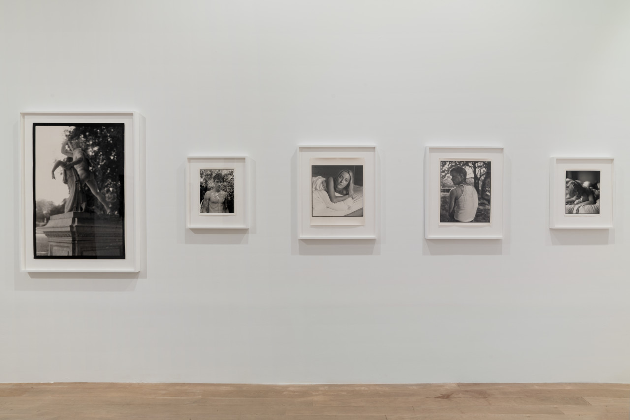 Five black and white images hang on a gallery wall. The photographs vary in size yet share a similar quality of speckled light.