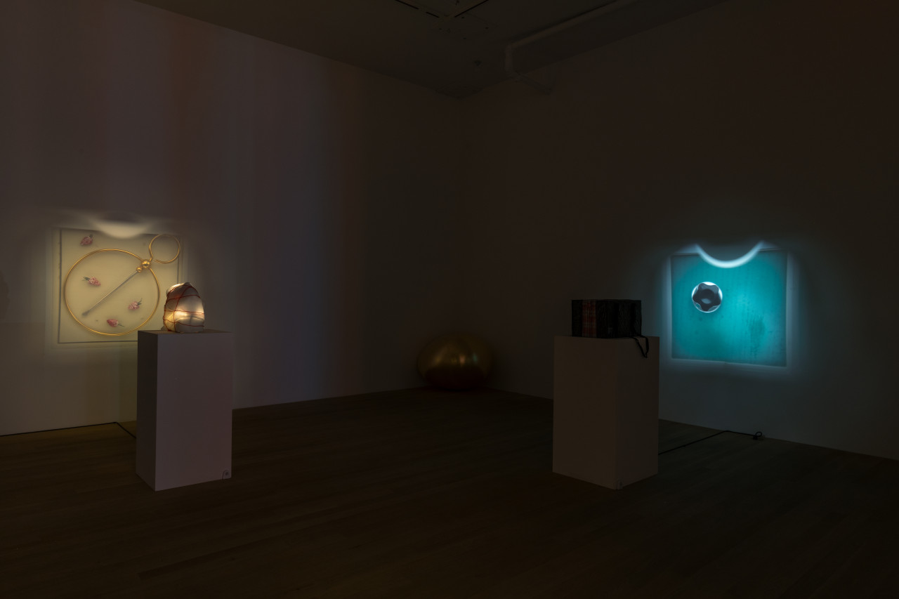 Color image of a darkened gallery space with three sculptures. On the left, a pinhole projector wrapped in foam and bound with red string sits on a pedestal. It projects an image of an ornamental golden metal pin and four small pink and green strawberries onto the left wall. A golden egg sculpture sits on the floor in the corner of the gallery. To the right, another pinhole projector inside a plaid vinyl bag with straps sits on a pedestal. On the right wall, an image of a green square with a small crenellated metal opening to the upper left, is projected.