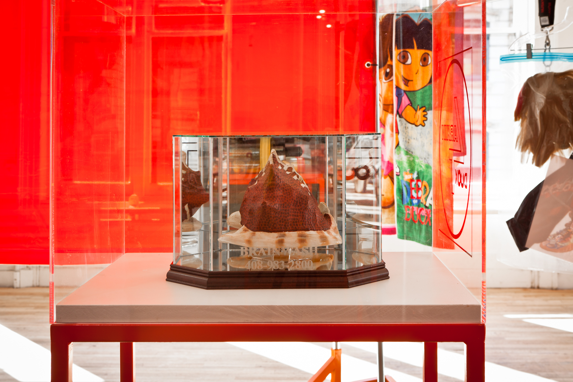 A brown object housed in a mirrored glass case. An inscription on the case's surface reads, 