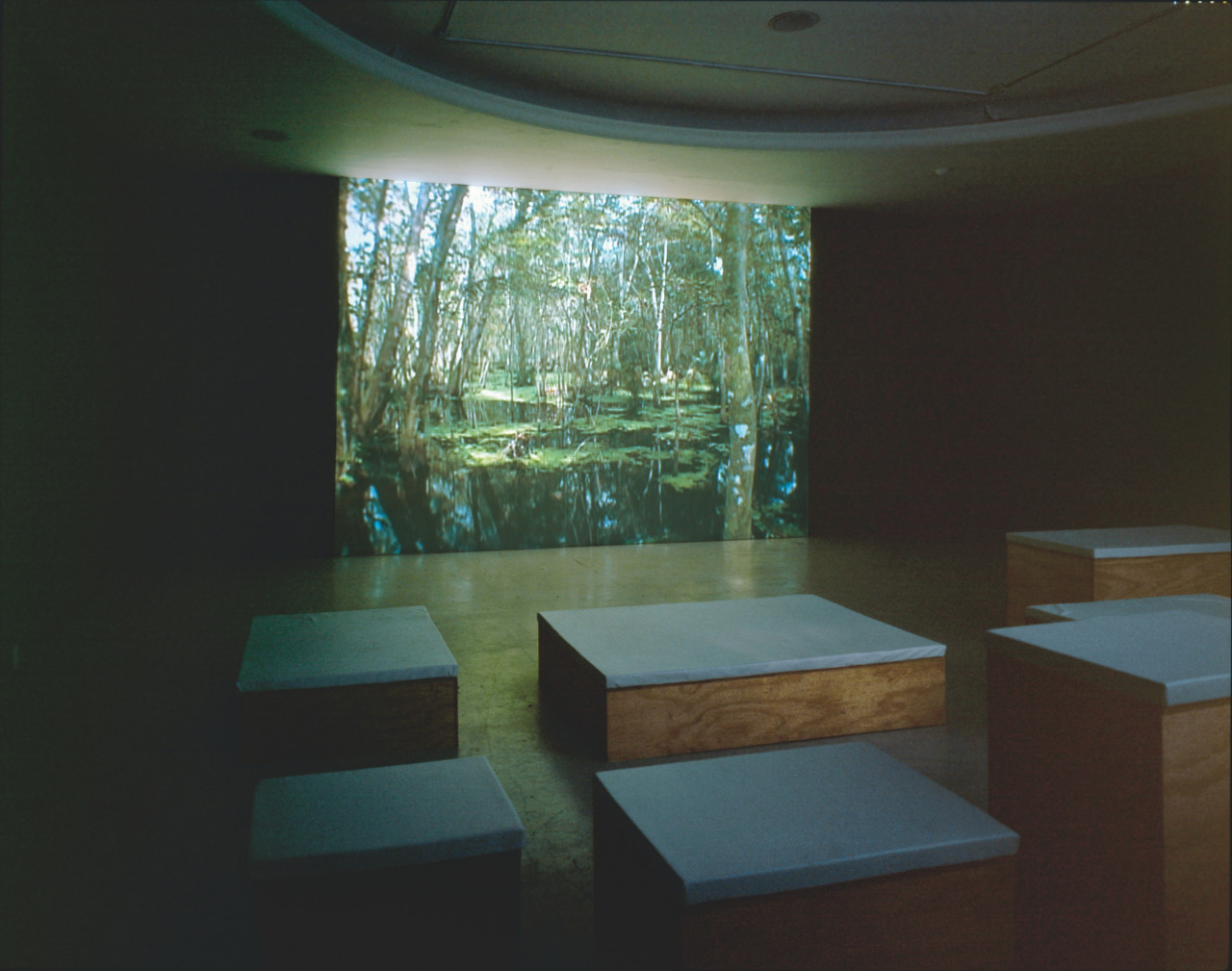 A darkened room with several wooden platforms with white pads on top facing a wide screen. The screen shows the image of a pond surrounded by trees.