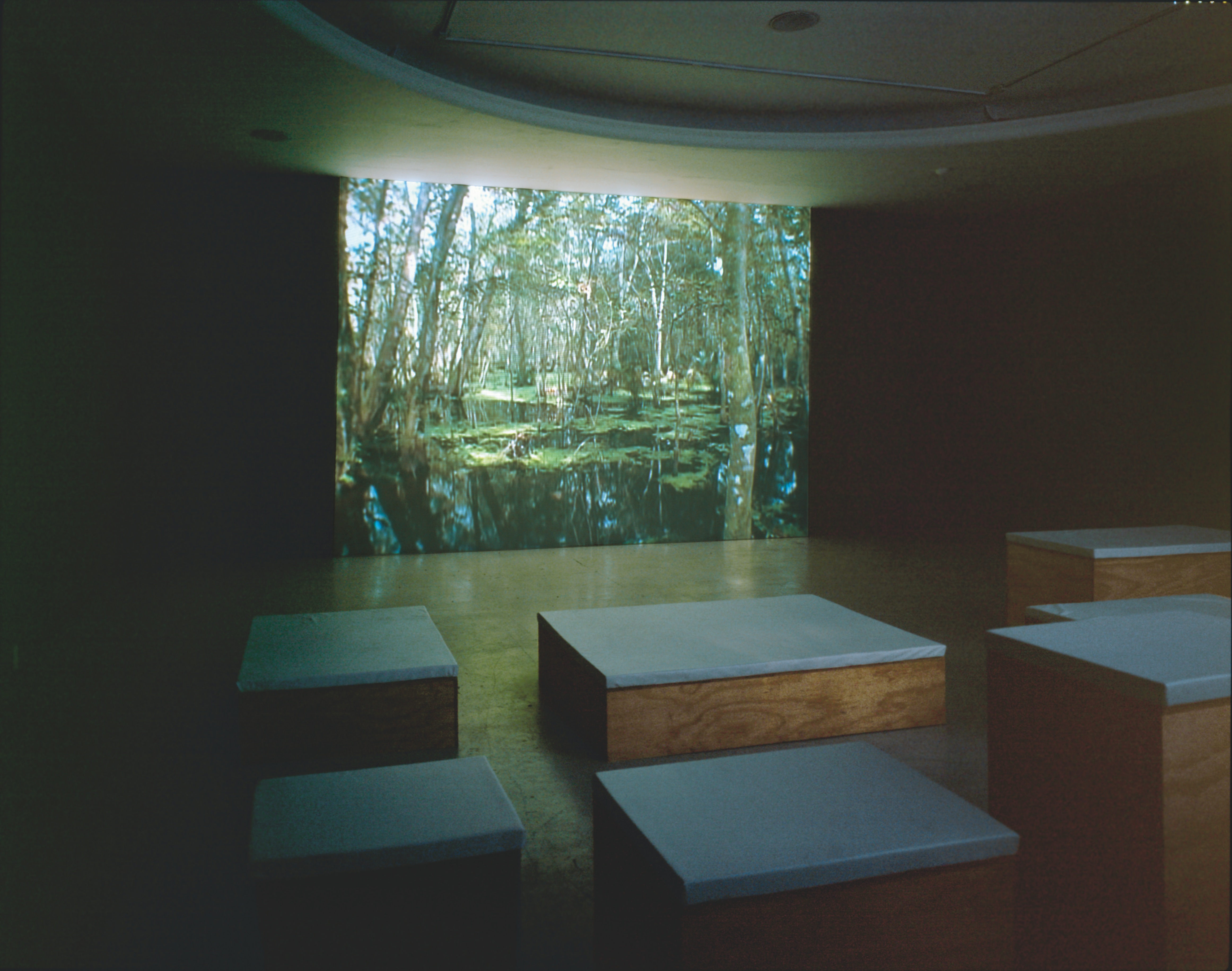 A darkened room with several wooden platforms with white pads on top facing a wide screen. The screen shows the image of a pond surrounded by trees.