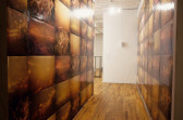 A hallway lined on both walls with abstract amber photographs arranged in a grid.