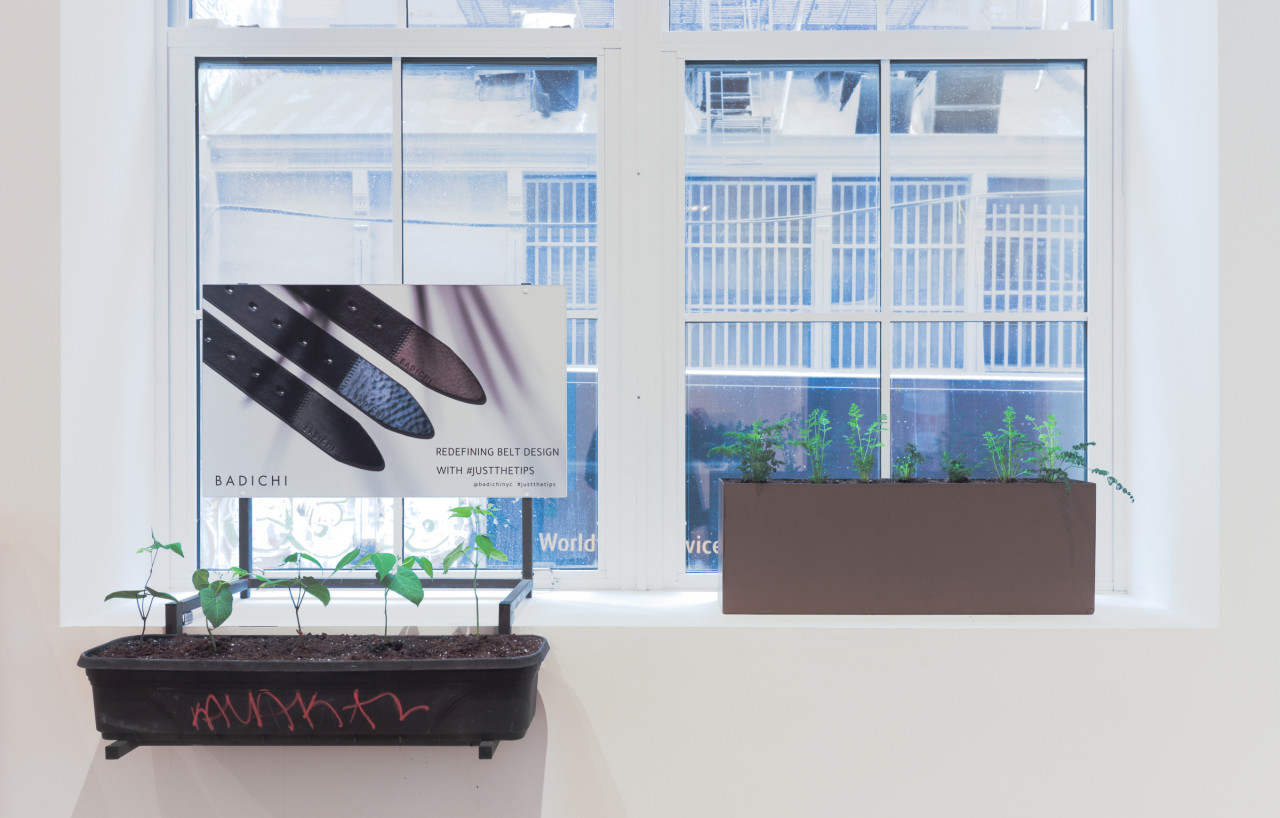 Two removed defensive planters with growing plants installed in the gallery window sill. One planter has an attached advertisement for belts above it.