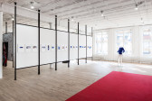 An angled view of a paneled wall displaying a long line of framed photographs in an exhibition space. A white mannequin wearing a blue shirt stands to the right of the wall. A large red carpet covers the ground in the bottom right portion of the image.