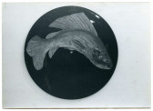 A black and white image of a black circle with a fish painted on it.