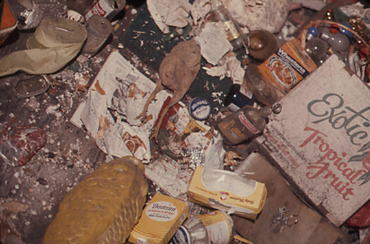 Remnants of discarded objects fill the frame. A flattened rubber chicken sits in the middle next to various bottles and boxes. On the right reads a white square in black and red font, 