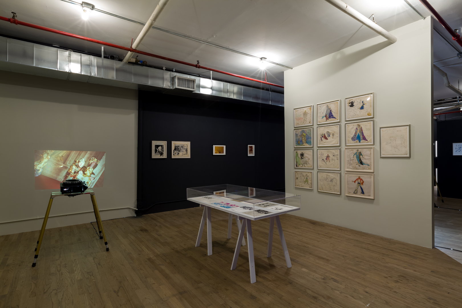 Several artworks and vitrines displayed in a gallery space. On the left, a slide projector projects an image of a figure wearing a leopard-print body suit onto a white wall. A glass vitrine displaying several paper documents stands in the middle of the room next to a freestanding wall. Twelve drawings arranged in a grid formation and one additional drawing installed to the right of the grid are dispalyed on the freestanding wall.