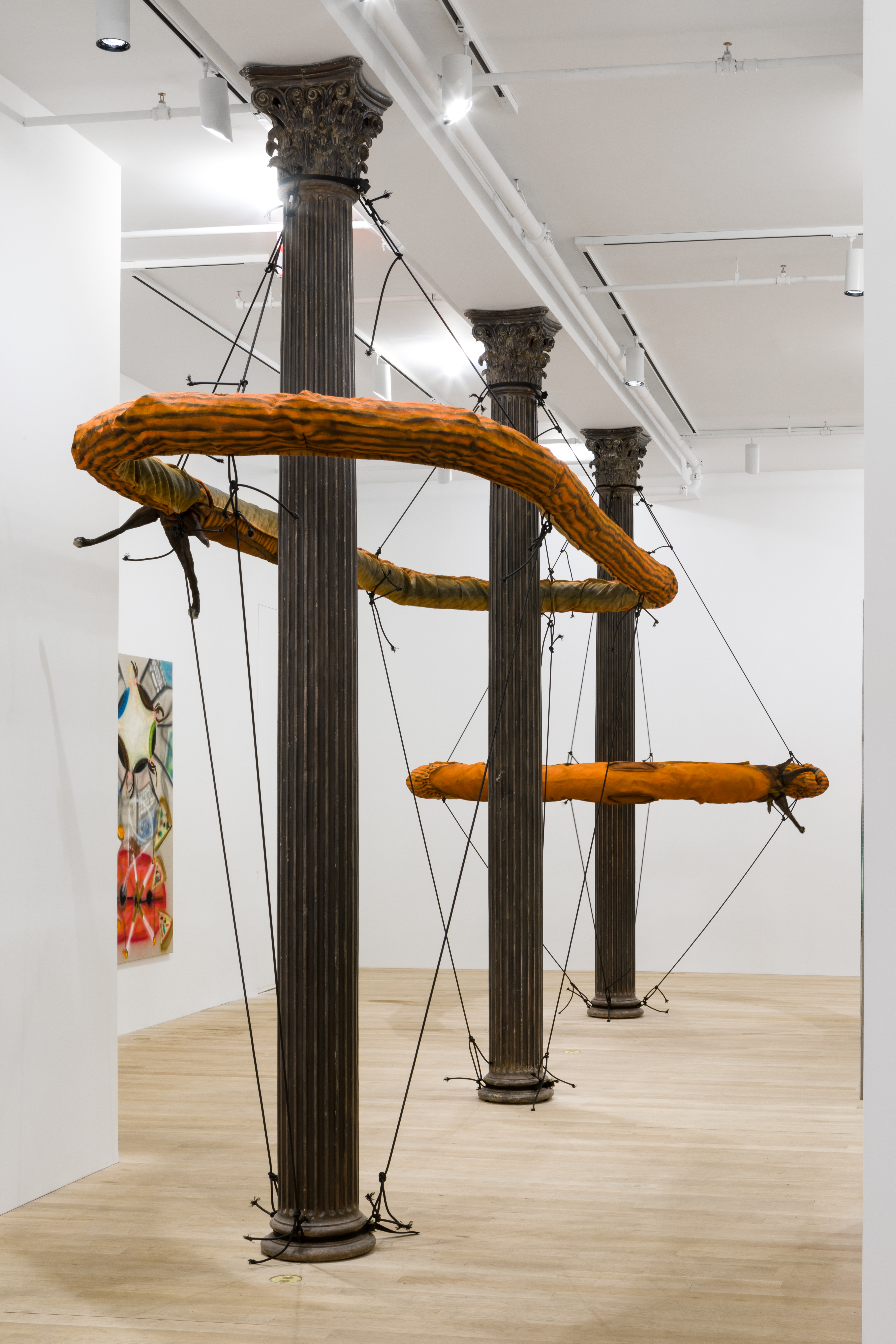 In the foreground a large, orange slug sculpture forming a circular ring shape is installed around two cast-iron columns suspended by ten elastic cords such that it encircles the column and rests close to the ceiling. Behind it is a large, orange slug sculpture forming a circular ring shape installed around one cast-iron column suspended by eight elastic cords such that it encircles the column and rests at its vertical center. In this white-walled gallery space one can also notice a partial view of a painting in the background.
