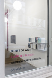 Looking into a gallery space through a window, on the right wall two shelves are filled with books. Further in the background a dark rectangle hangs on the wall. On the windowpane the words 