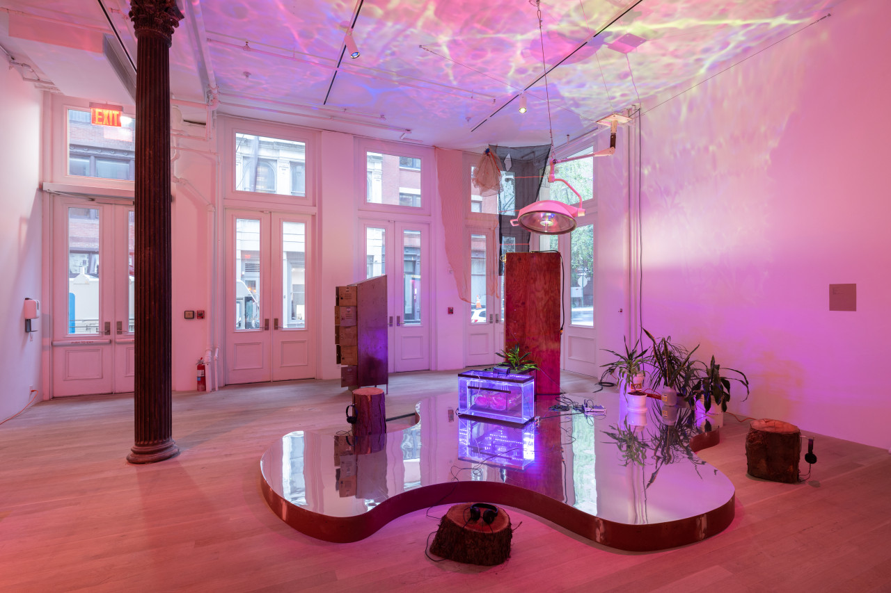 A large mirrored pond made of a wooden base with a reflective lining on top is surrounded by three tree trunks, plants, fish tanks, and a phone booth. A large lamp hangs from the ceiling with a metal locker in the back.