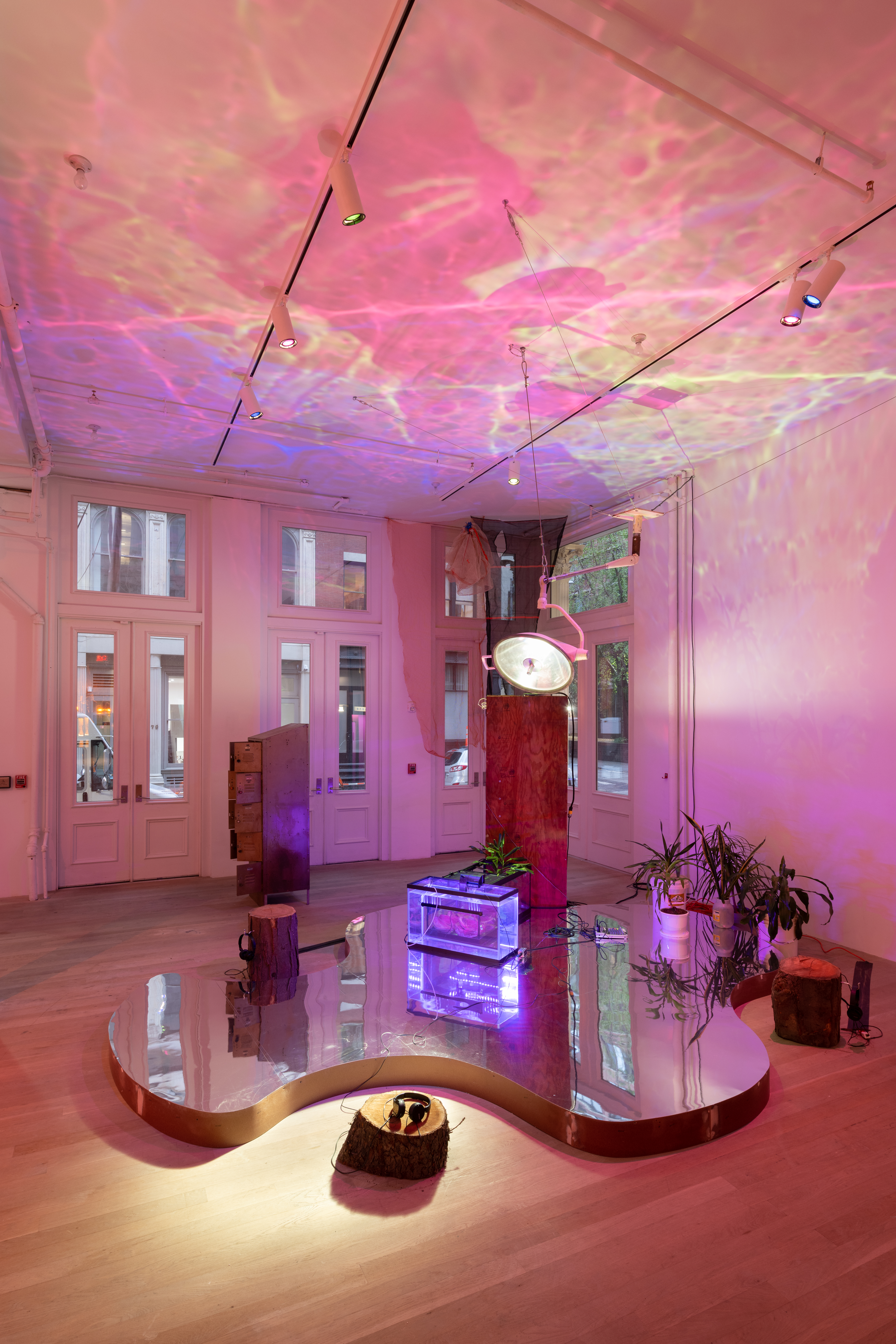 A large mirrored pond made of a wooden base with a reflective lining on top is surrounded by three tree trunks, plants, fish tanks, and a phone booth. A large lamp hangs from the ceiling with a metal locker in the back.